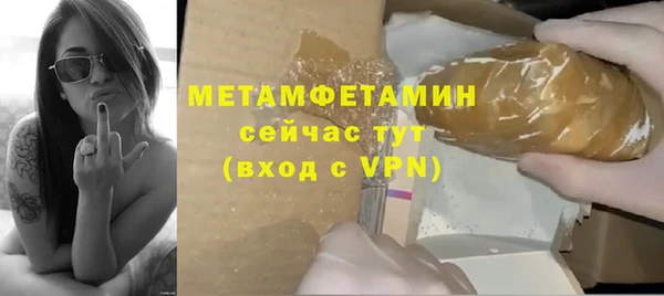 шишки Заволжск