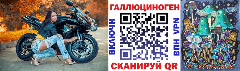 Галлюциногенные грибы GOLDEN TEACHER Камбарка